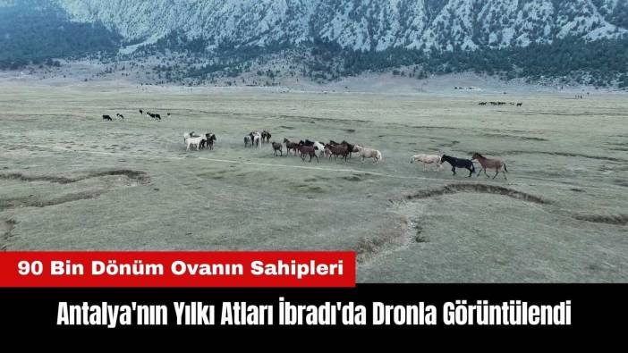 Antalya'nın Yılkı Atları İbradı'da Dronla Görüntülendi