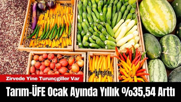 Tarım-ÜFE Ocak Ayında Yıllık %35,54 Arttı