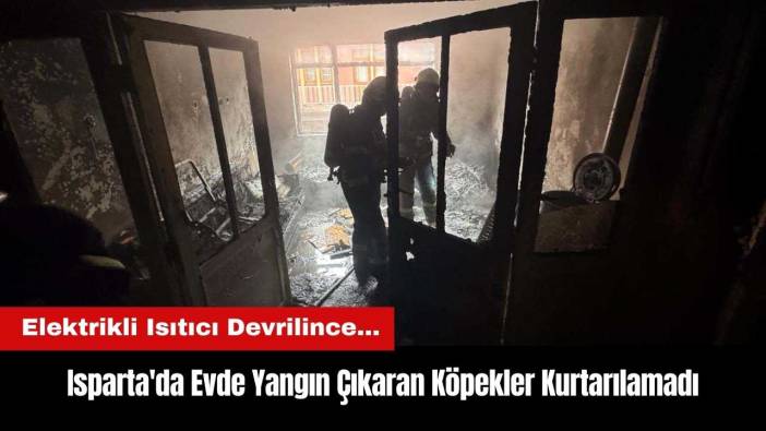 Isparta'da Evde Yangın Çıkaran Köpekler Kurtarılamadı