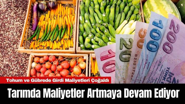 Tarımda Maliyetler Artmaya Devam Ediyor