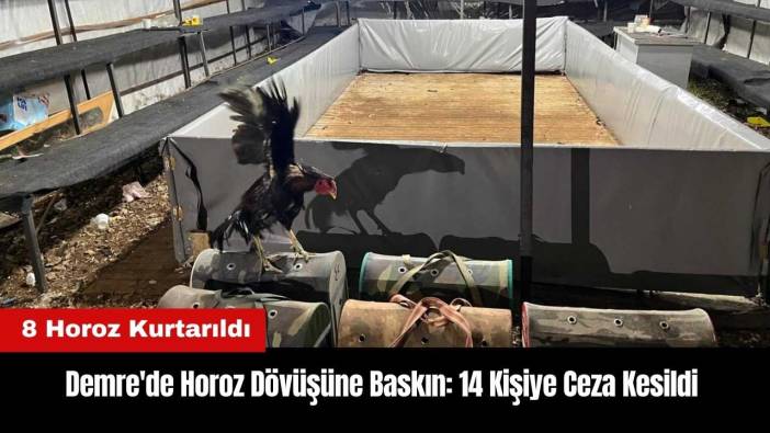 Demre'de Horoz Dövüşüne Baskın: 14 Kişiye Ceza Kesildi