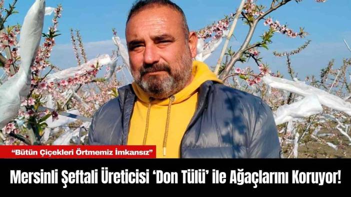 Mersinli Şeftali Üreticisi ‘Don Tülü’ ile Ağaçlarını Koruyor!