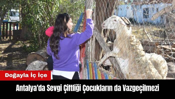 Antalya'da Sevgi Çiftliği Çocukların da Vazgeçilmezi