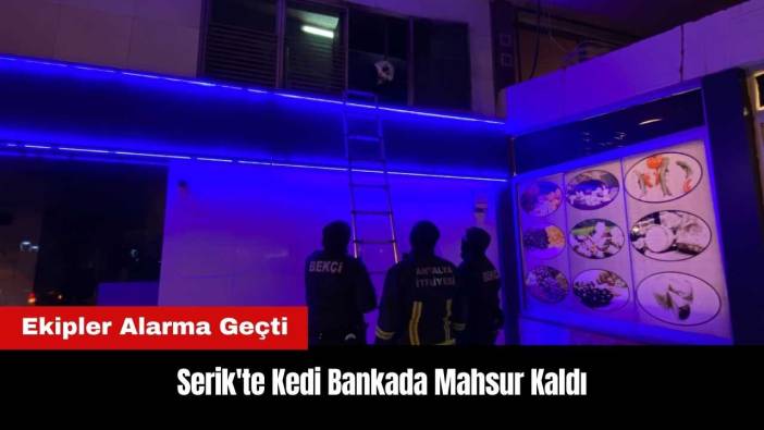 Serik'te Kedi Bankada Mahsur Kaldı! Ekipler Alarma Geçti