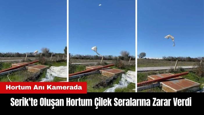 Serik'te Oluşan Hortum Çilek Seralarına Zarar Verdi