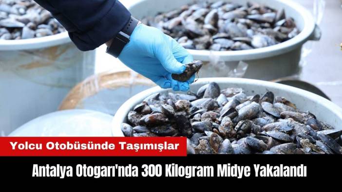 Antalya Otogarı'nda 300 Kilogram Midye Yakalandı
