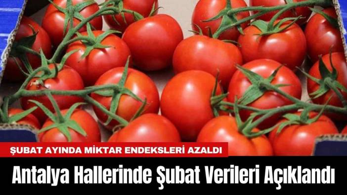 Antalya Hallerinde Şubat Verileri Açıklandı