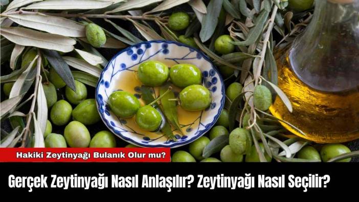 Gerçek Zeytinyağı Nasıl Anlaşılır? Zeytinyağı Nasıl Seçilir?
