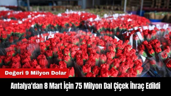 Antalya'dan 8 Mart İçin 75 Milyon Dal Çiçek İhraç Edildi