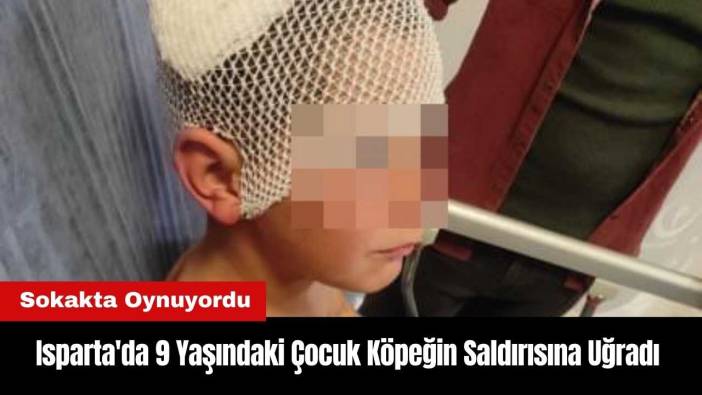 Isparta'da 9 Yaşındaki Çocuk Köpeğin Saldırısına Uğradı