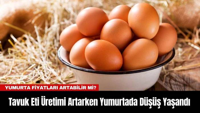 Tavuk Eti Üretimi Artarken Yumurtada Düşüş Yaşandı