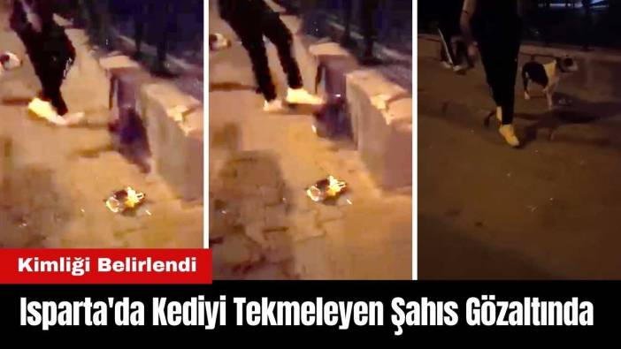 Isparta'da Kediyi Tekmeleyen Şahıs Gözaltında