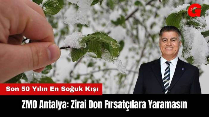 ZMO Antalya: Zirai Don Fırsatçılara Yaramasın