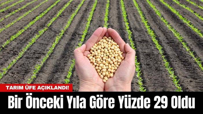 Tarım ÜFE Açıklandı! Bir Önceki Yıla Göre Yüzde 29 Oldu