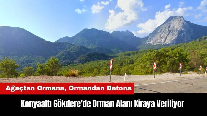 Konyaaltı Gökdere'de Orman Alanı Kiraya Veriliyor