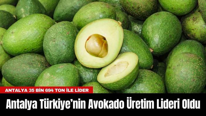 Antalya Türkiye’nin Avokado Üretim Lideri Oldu