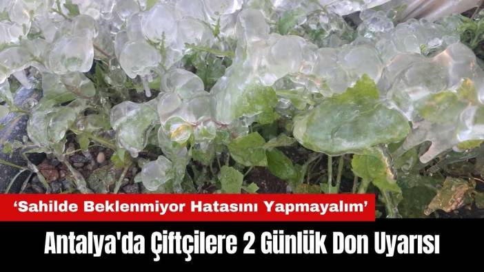 Antalya'da Çiftçilere 2 Günlük Don Uyarısı