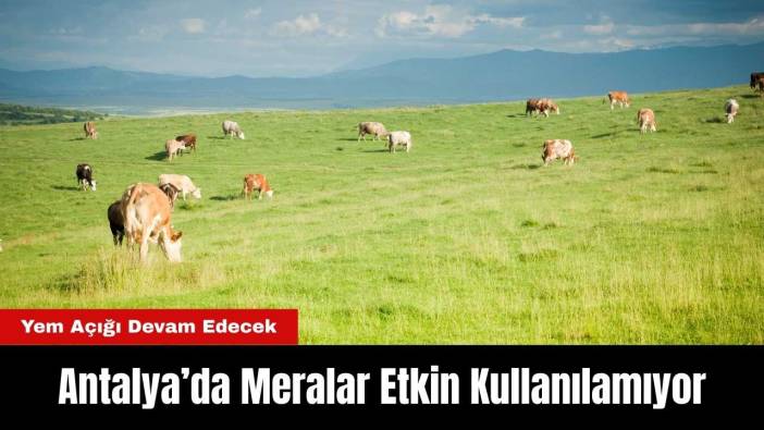 Antalya’da Meralar Etkin Kullanılamıyor