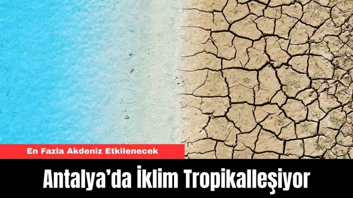 Antalya’da İklim Tropikalleşiyor!
