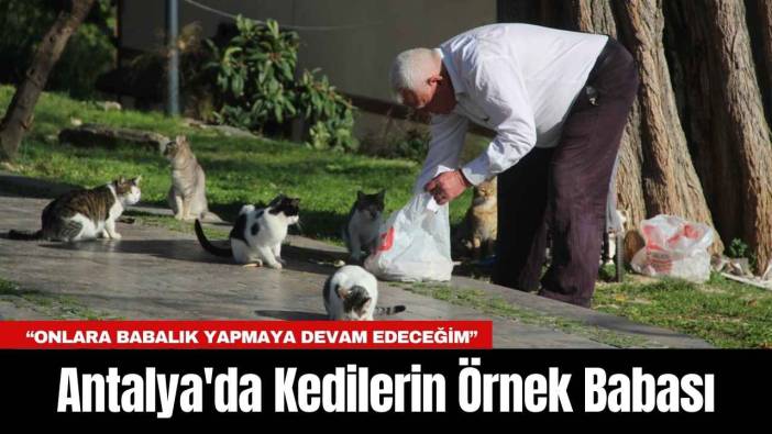 Antalya'da Kedilerin Örnek Babası