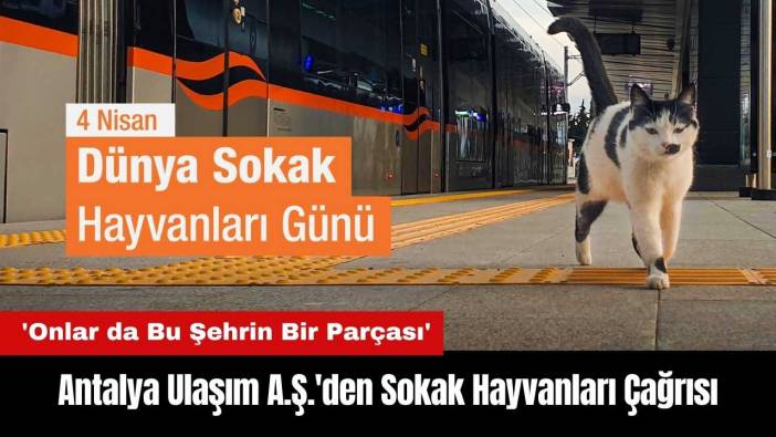 Antalya Ulaşım A.Ş.'den Sokak Hayvanları Çağrısı