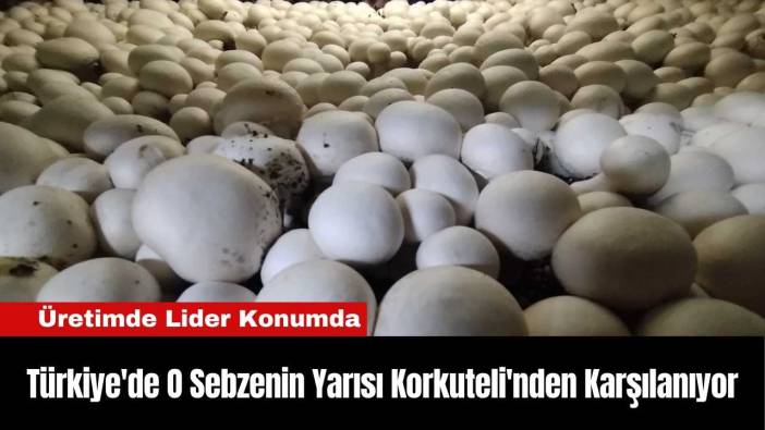 Türkiye'de O Sebzenin Yarısı Korkuteli'nden Karşılanıyor