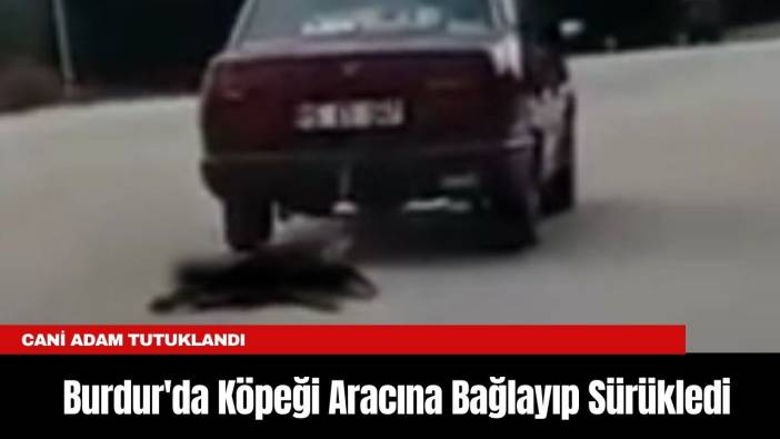 Burdur'da Köpeği Aracına Bağlayıp Sürükledi: Tutuklandı