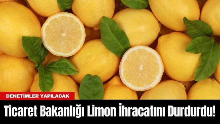 Akdeniz'de Yaşanan Don Sebebiyle Ticaret Bakanlığı Limon İhracatını Durdurdu!