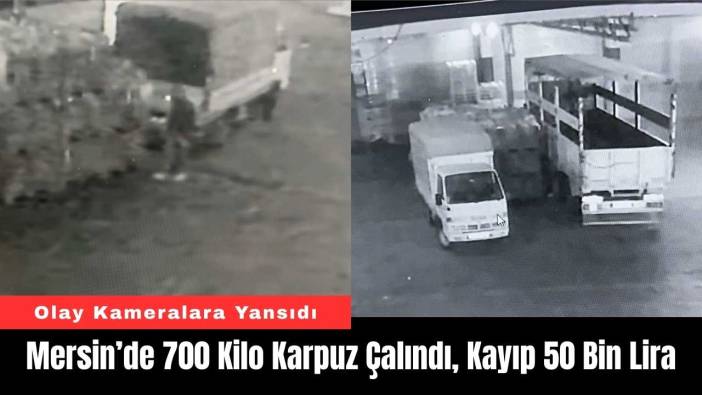 Mersin’de 700 Kilo Karpuz Çalındı, Kayıp 50 Bin Lira