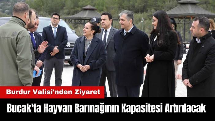Bucak'ta Hayvan Barınağının Kapasitesi Artırılacak