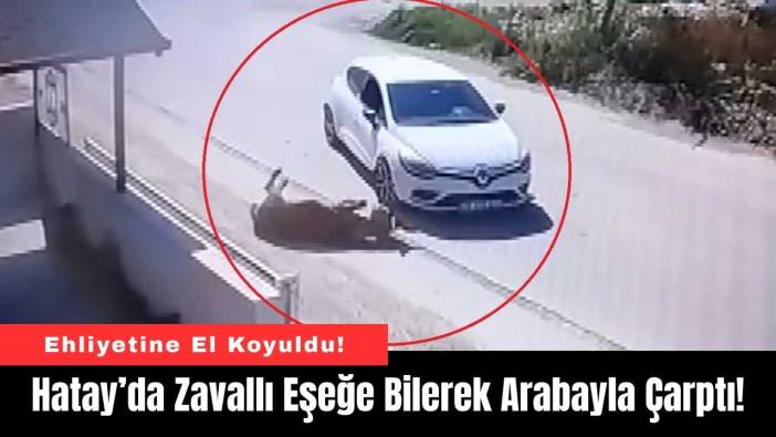 Hatay’da Zavallı Eşeğe Bilerek Arabayla Çarptı!
