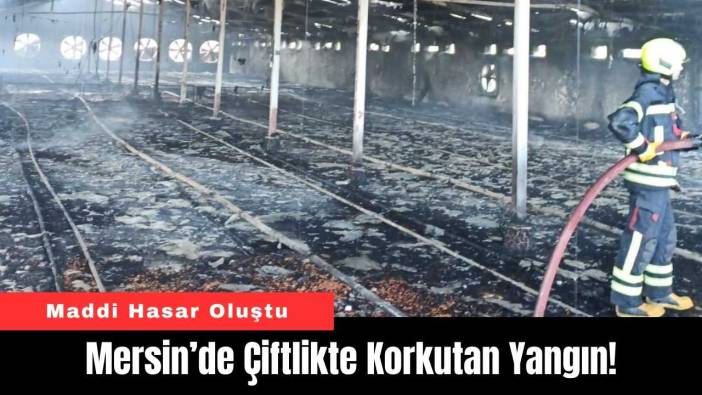 Mersin’de Çiftlikte Korkutan Yangın!