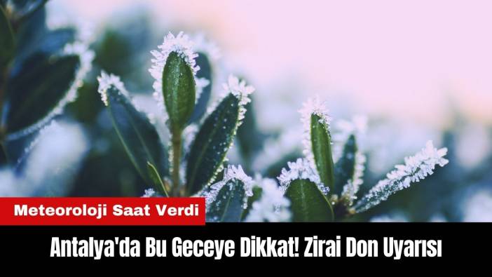 Antalya'da Bu Geceye Dikkat! Zirai Don Uyarısı Geldi