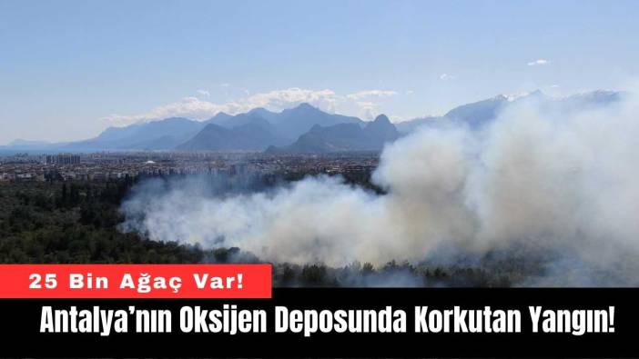 Antalya’nın Oksijen Deposunda Korkutan Yangın!