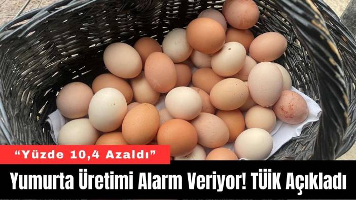 Yumurta Üretimi Alarm Veriyor! TÜİK Açıkladı