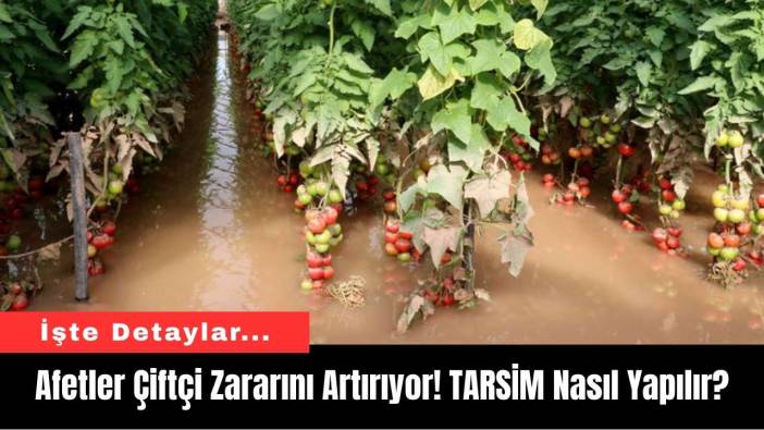 Afetler Çiftçi Zararını Artırıyor! TARSİM Nasıl Yapılır?