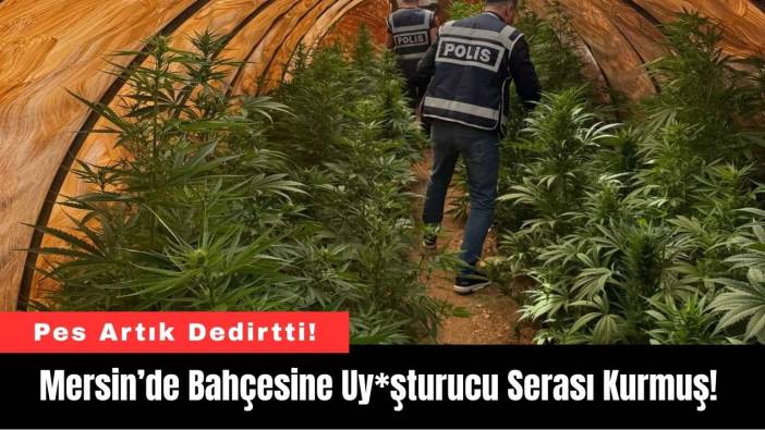 Mersin’de Bahçesine Uy*şturucu Serası Kurmuş!