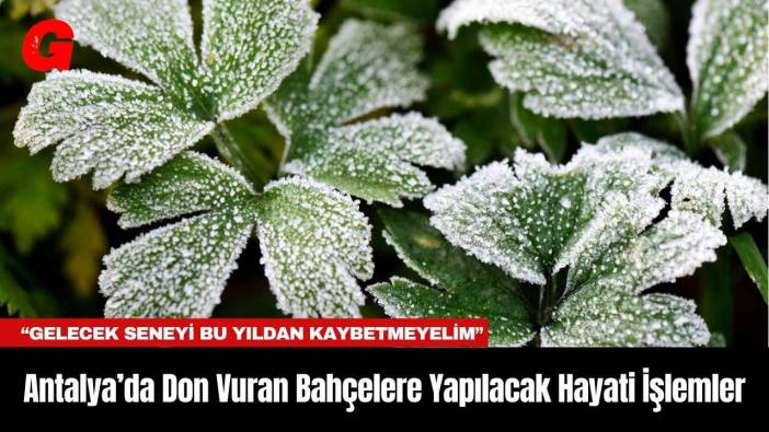 Antalya’da Don Vuran Bahçelere Yapılacak Hayati İşlemler