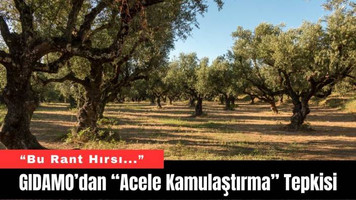 GIDAMO’dan “Acele Kamulaştırma” Tepkisi