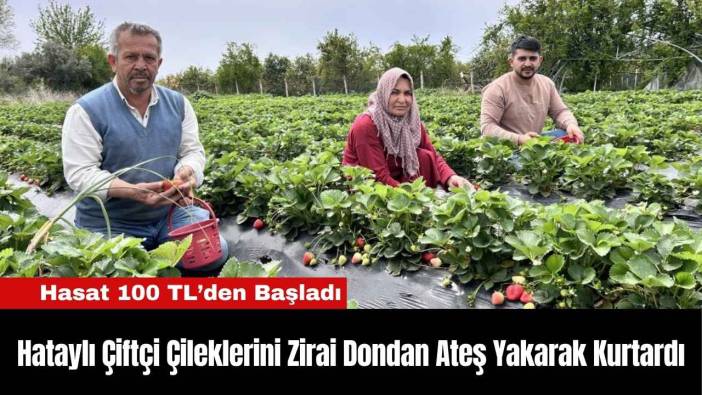 Hataylı Çiftçi Çileklerini Zirai Dondan Ateş Yakarak Kurtardı