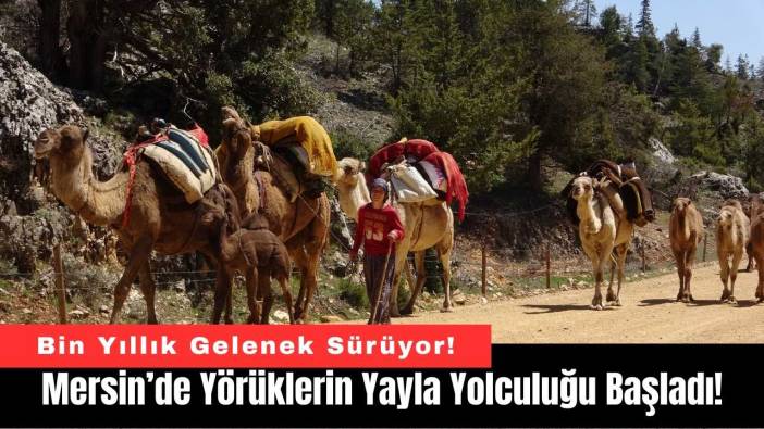 Mersin’de Yörüklerin Yayla Yolculuğu Başladı!