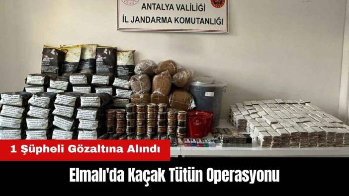 Elmalı'da Kaçak Tütün Operasyonu: 1 Gözaltı