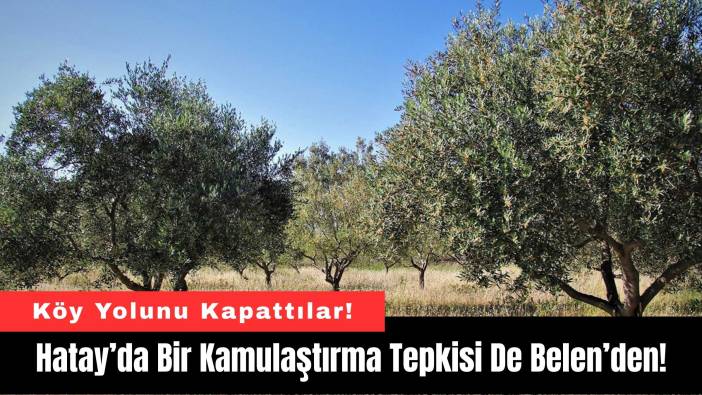 Hatay’da Bir Kamulaştırma Tepkisi De Belen’den!