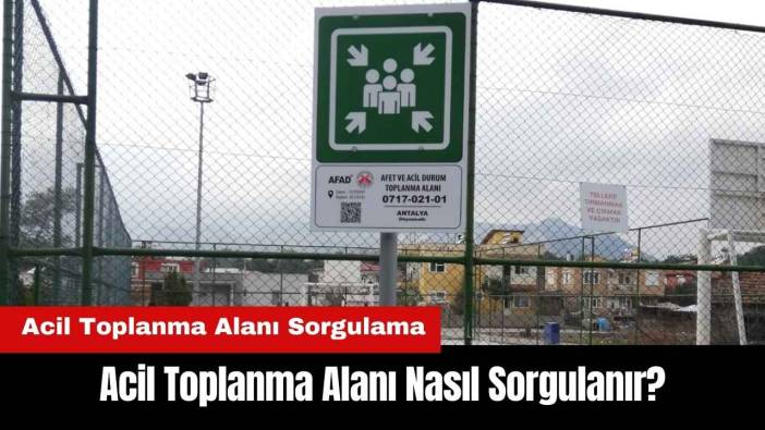 Acil Toplanma Alanı Nasıl Sorgulanır? Acil Toplanma Alanı Sorgulama