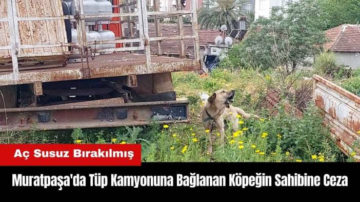 Muratpaşa'da Tüp Kamyonuna Bağlanan Köpeğin Sahibine Ceza