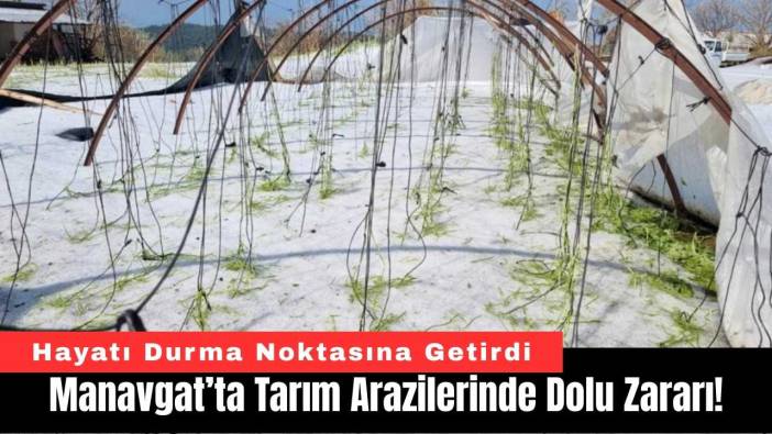 Manavgat’ta Tarım Arazilerinde Dolu Zararı!