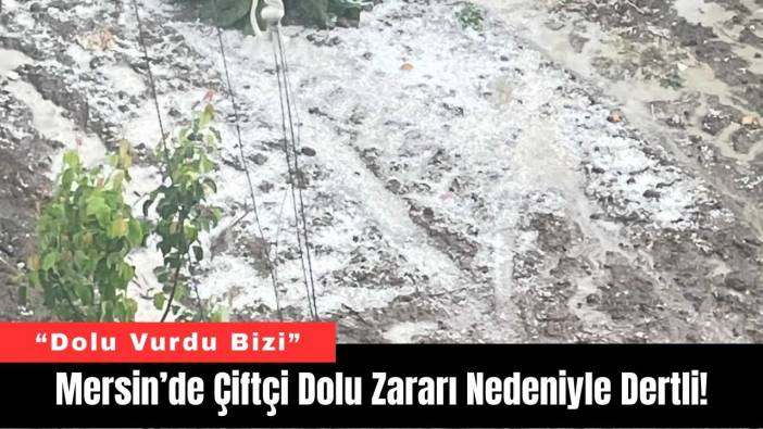 Mersin’de Çiftçi Dolu Zararı Nedeniyle Dertli!