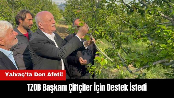 Yalvaç'ta Don Afeti! TZOB Başkanı Çiftçiler İçin Destek İstedi