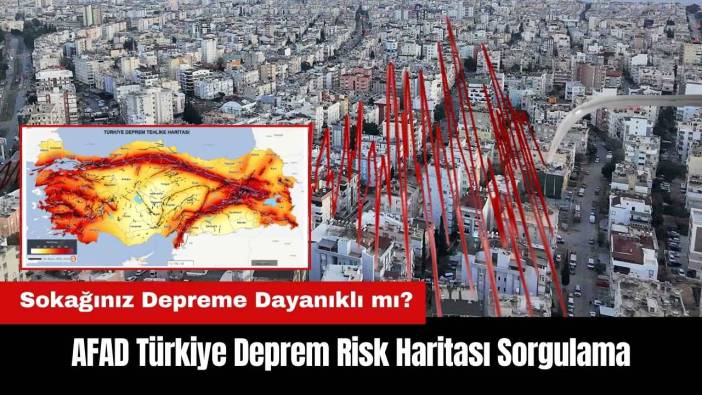 AFAD Türkiye Deprem Risk Haritası Sorgulama! Sokağınız Depreme Dayanıklı mı?