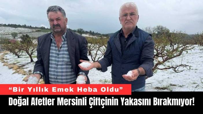 Doğal Afetler Mersinli Çiftçinin Yakasını Bırakmıyor!